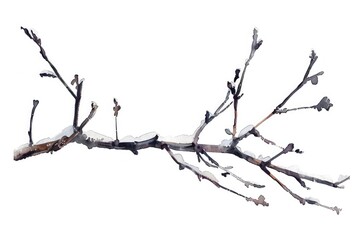 Winter Silhouette. Watercolor Twig Illustration in Snowy Season