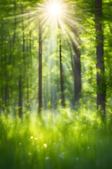 Fototapeta premium green trees