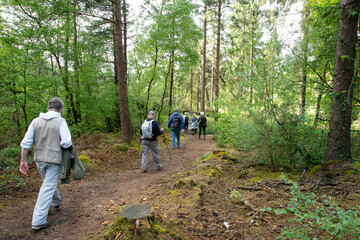 Groupe de randonneurs seniors en Bretagne