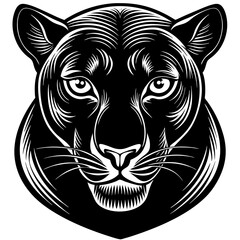 a-black-and-white-panther-animal
