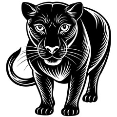 a-black-and-white-panther-animal