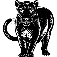 a-black-and-white-panther-animal