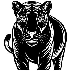a-black-and-white-panther-animal