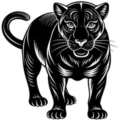 a-black-and-white-panther-animal