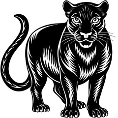 a-black-and-white-panther-animal