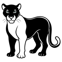 a-black-and-white-panther-animal