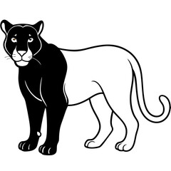 a-black-and-white-panther-animal