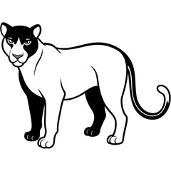 a-black-and-white-panther-animal