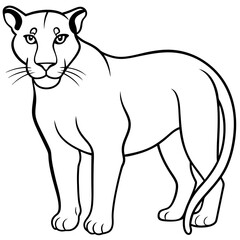 Obraz premium a-black-and-white-panther-animal