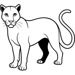 a-black-and-white-panther-animal