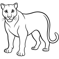 a-black-and-white-panther-animal