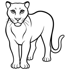 a-black-and-white-panther-animal