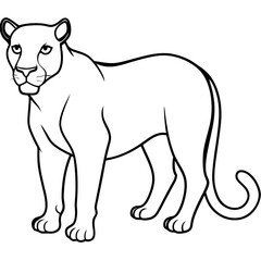 a-black-and-white-panther-animal