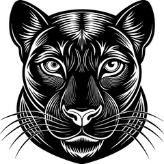 a-black-and-white-panther-animal
