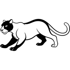 a-black-and-white-panther-animal-running-looking