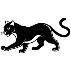 a-black-and-white-panther-animal-running-looking