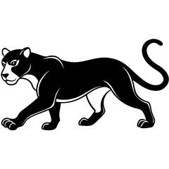 a-black-and-white-panther-animal-running-looking