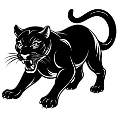 a-black-and-white-panther-animal-running-looking