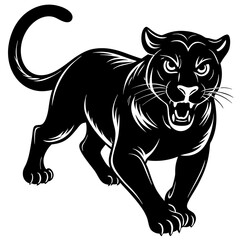 a-black-and-white-panther-animal-running-looking