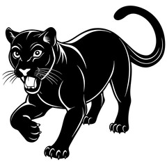 a-black-and-white-panther-animal-running-looking