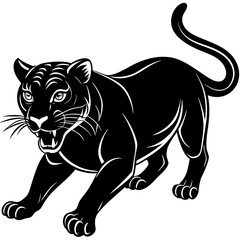 a-black-and-white-panther-animal-running-looking