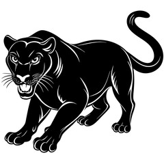 a-black-and-white-panther-animal-running-looking