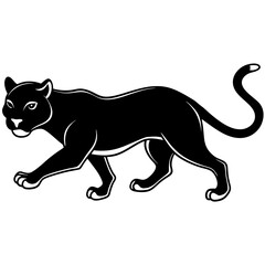 a-black-and-white-panther-animal-running-looking