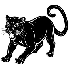 a-black-and-white-panther-animal-running-looking