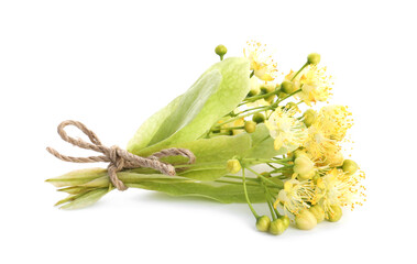 Obraz premium Bunch of beautiful linden blossom isolated on white