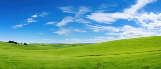 Fototapeta premium Idyllic Green Meadow Under Blue Sky
