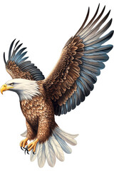 Eagle Image, for Stickers, T-Shirt Print, Cap, Mug, Slippers, Mousepad, with Transparent Background PNG