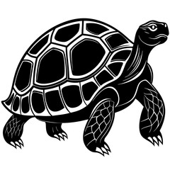 solid-black-outline-galapagos-tortoise-animal-vect 