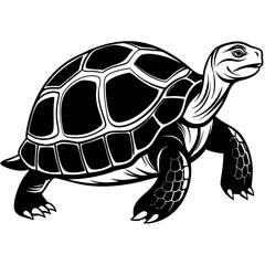 solid-black-outline-galapagos-tortoise-animal-vect 