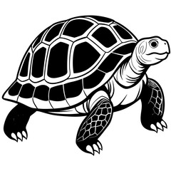 solid-black-outline-galapagos-tortoise-animal-vect 