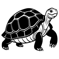 solid-black-outline-galapagos-tortoise-animal-vect 
