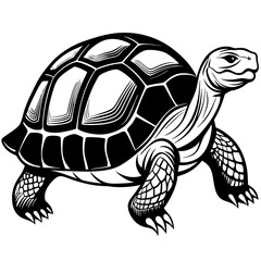 solid-black-outline-galapagos-tortoise-animal-vect 