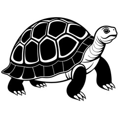 solid-black-outline-galapagos-tortoise-animal-vect 