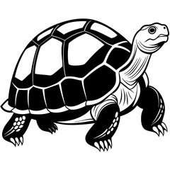 solid-black-outline-galapagos-tortoise-animal-vect 