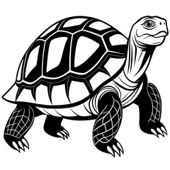 solid-black-outline-galapagos-tortoise-animal-vect 
