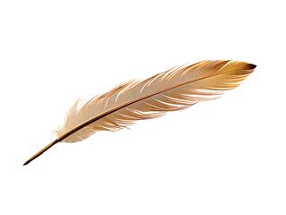 a feather on a white background © Ivan