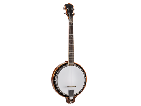a close up of a banjo