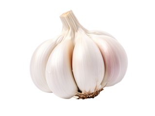a close up of a garlic