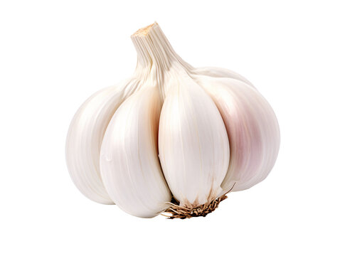 a close up of a garlic