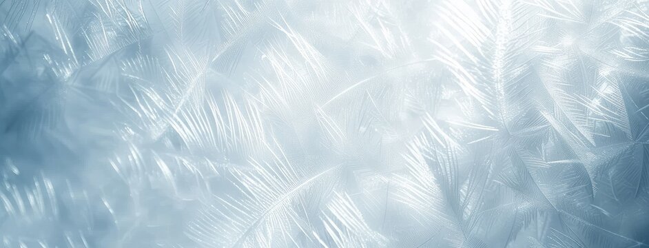 Frosty Feather Patterns on a Winter Morning