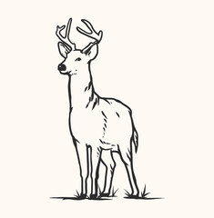 deer illustration line art vector