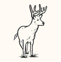 Deer Line Art Illustration Vector