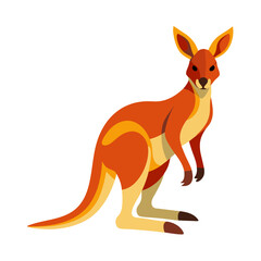Kangaroo vector illustration, cute animal vector illustration, Kangaroo illustration vector, cute Kangaroo cartoon illustration