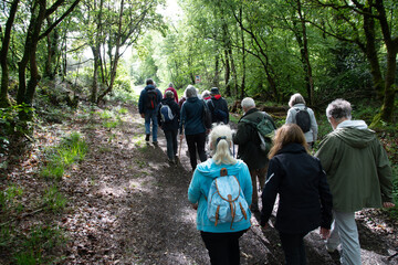 Groupe de randonneurs seniors en Bretagne