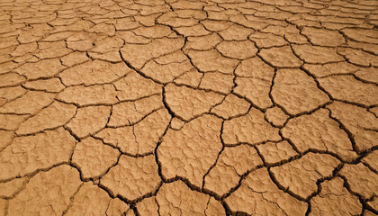 A close-up view of cracked, dry earth in a desert landscape, highlighting the effects of drought