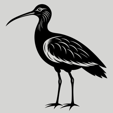 recommend clip art: heron bird silhouette vector illustration